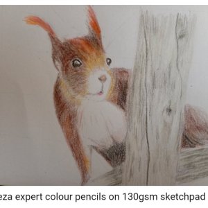 Screenshot_20251005-155322~2 (1).jpg