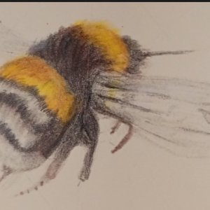 Screenshot_20251124-095729~2 (1).jpg