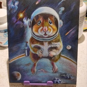 Media 'Space Hamster Sep 7 2025.jpeg' in category 'Colored Pencil'