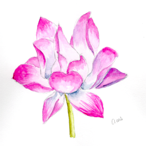 20260104Sk10 Lotus Bloom (PP).png