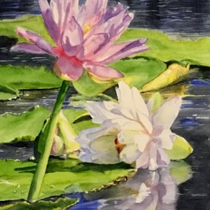 Media 'IMG_2093.jpeg' in category 'Journaling and Sketchbooks'