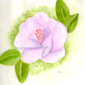 Media '20260227Sk10 Camelia (WDE).png' in category 'Water Media'