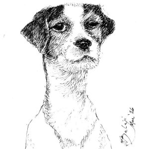 Dog Portrait 1.jpg