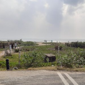 Valmikinagar Beach.jpg