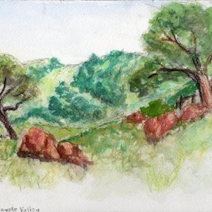 Coyote Valley 26.jpg