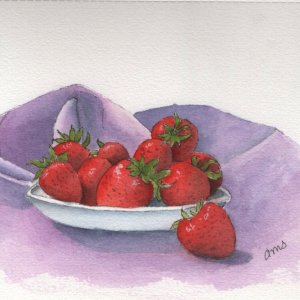 20260501Sk11 Strawberries (WDE).jpg
