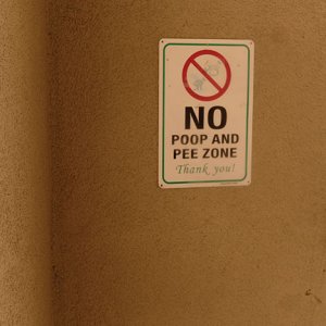 no.jpg