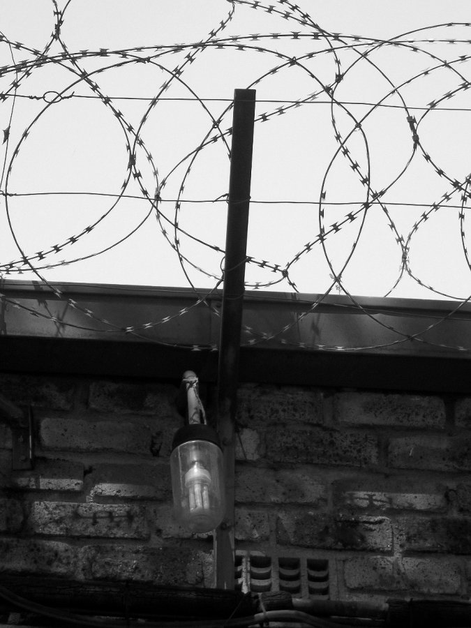 2016 d9y589m-6eea9a35-f918-4730-8198-5b345a30b9a3.jpg