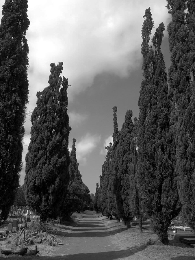 2016 d9yo3c0-3ea01aa3-986d-4a74-9898-7b276bbaadaa.jpg