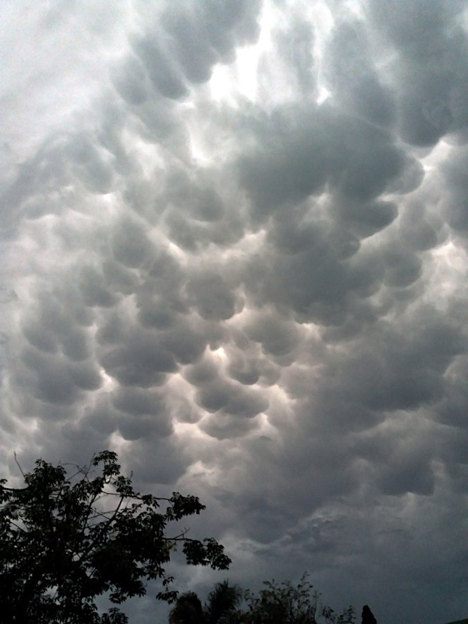 2020 Mammatus clouds.jpg