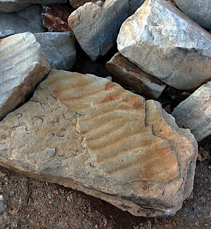 2021 Ripple patterns.jpg