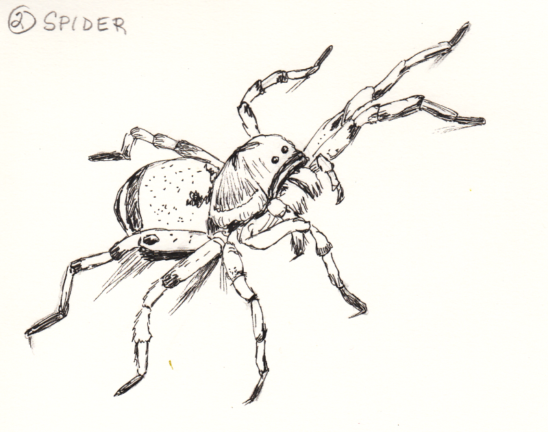 20231002Sk5 Spider (Inktober 2).png