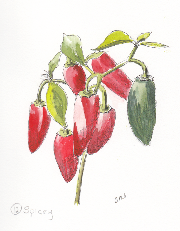 20231011Sk9 Jalapeno Peppers (Inktober 12-Spicy).png