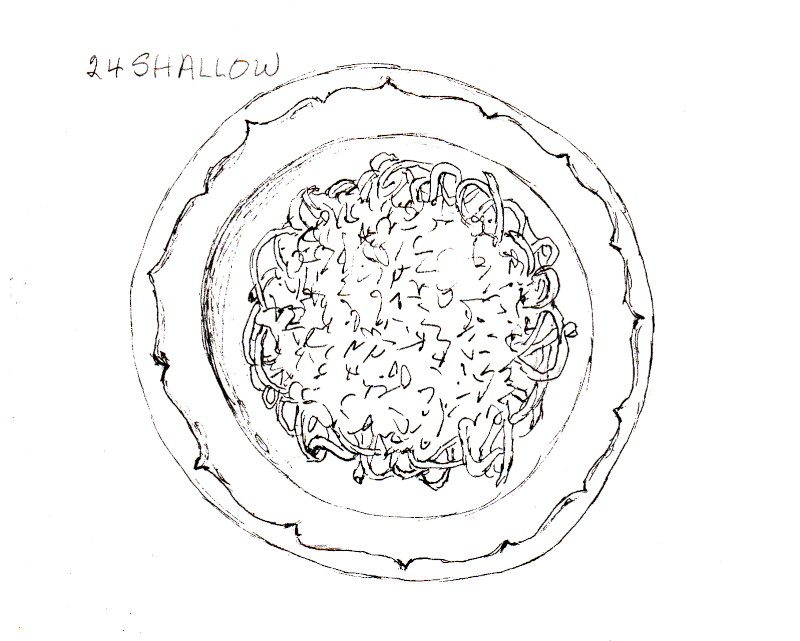 20231020Sk9 Plate of Spaghetti (Inktober 24-Shallow).png