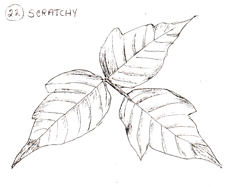 20231020Sk9 Poison Ivy (Inktober 22-Scratchy).png