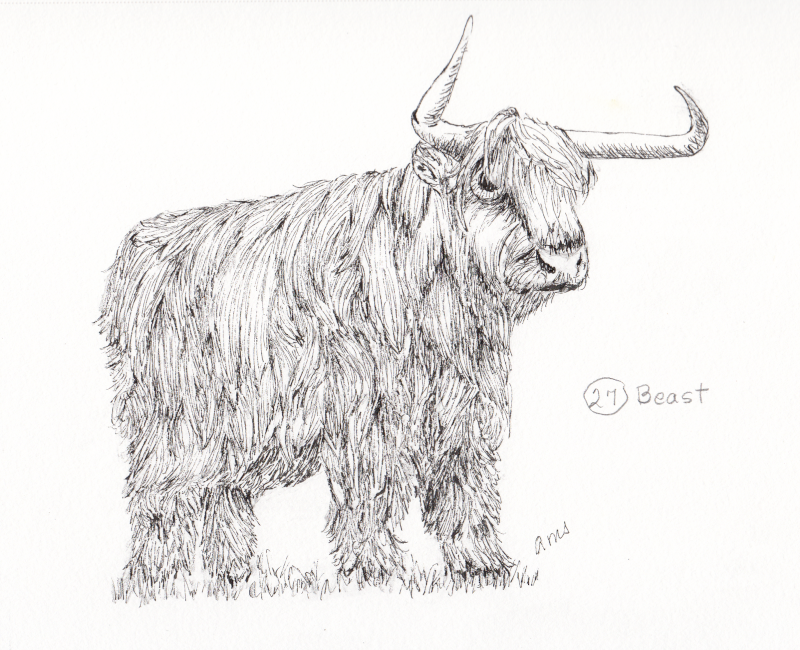 20231025Sk9 Highland Cow (Animal & Wildlife, Inktober 27-Beast).png