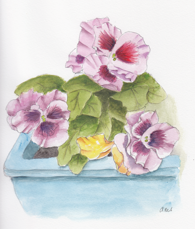 20240829Sk8 Pansies in Window Box.png