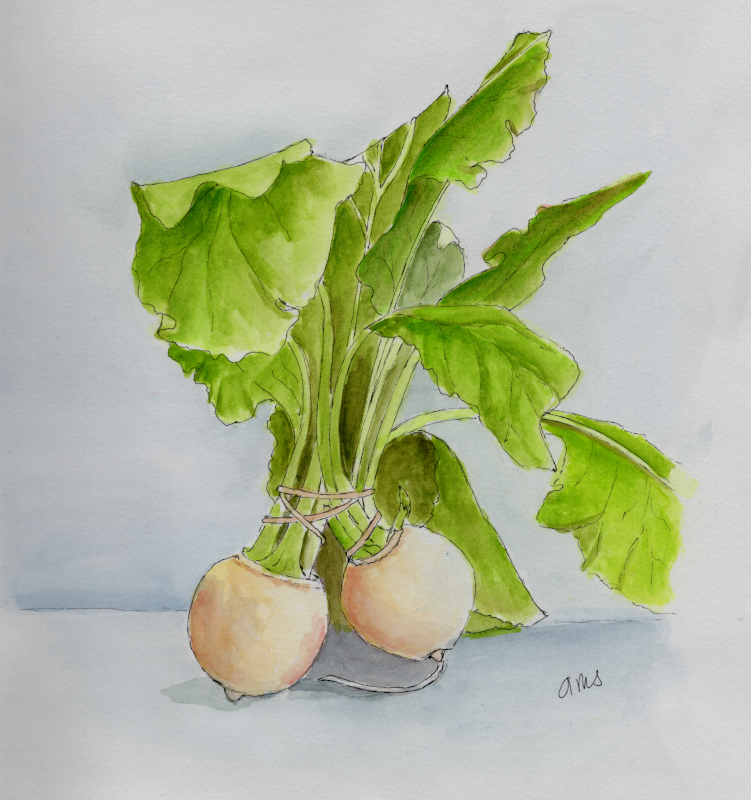 20250119Sk8  Turnips (WDE).png