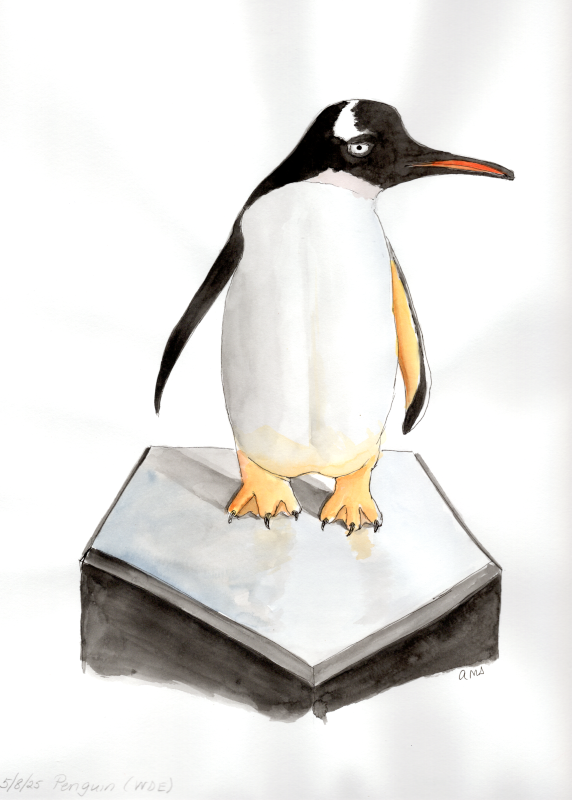 20250508 Penguin (WDE).png