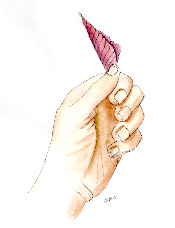 20250605Sk10 Hand Holding Leaf (WDE).png