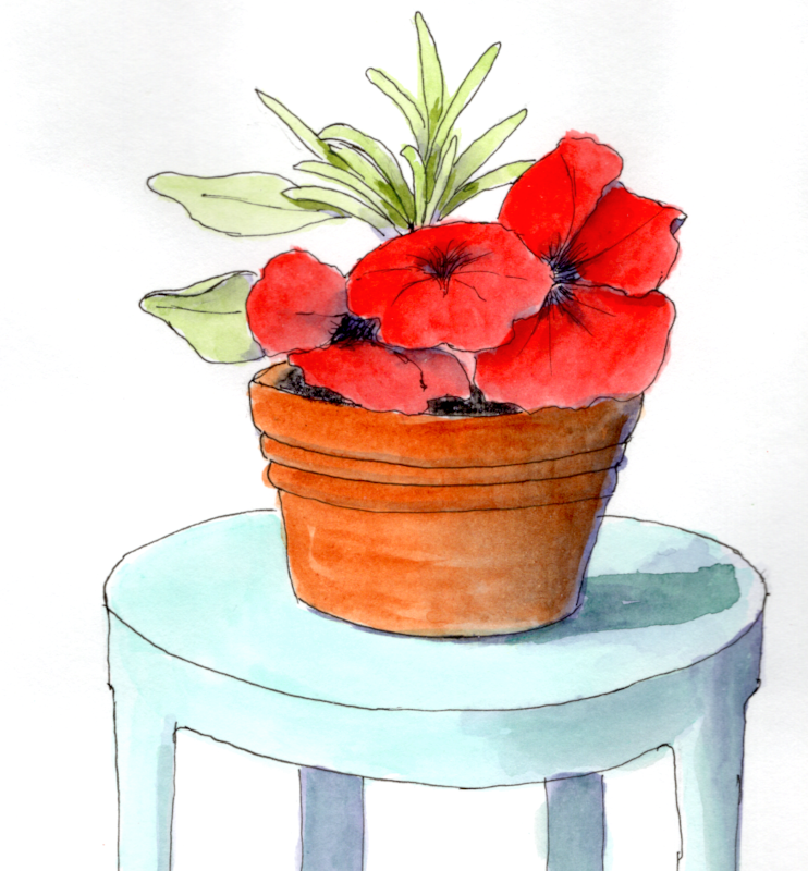 20250614Sk10 Red Petunias (WDE).png
