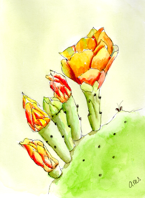 20250803 Cactus Blooms (WDE).png