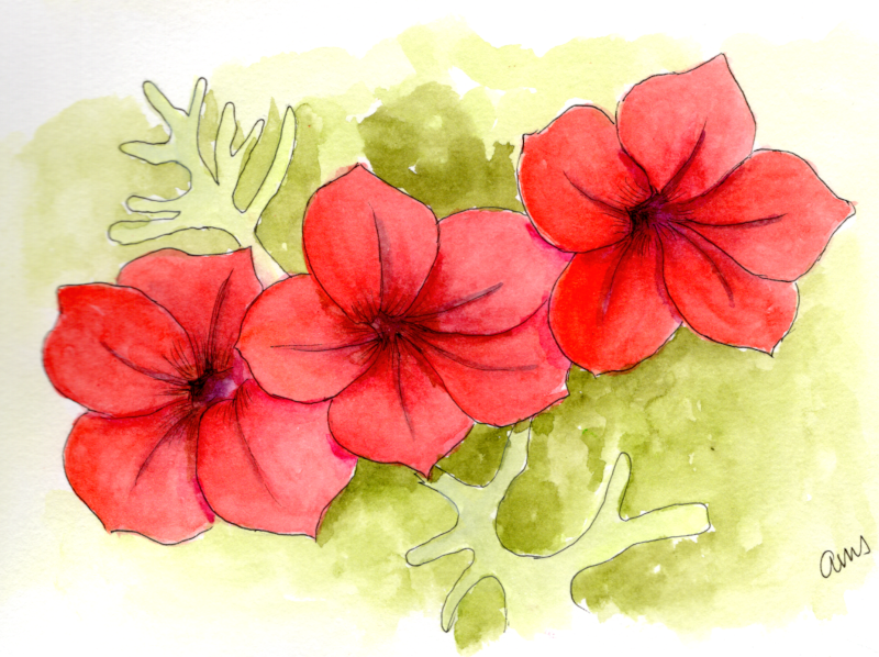 20250807Sk10 Red Petunias.png