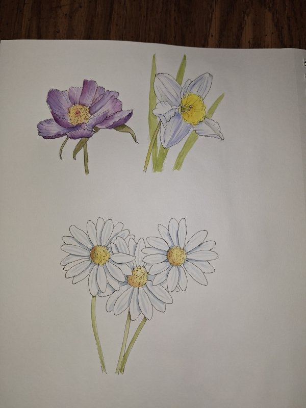 20250810 Flowers (WDE).jpg