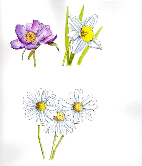 20250810 Flowersb (WDE).jpg