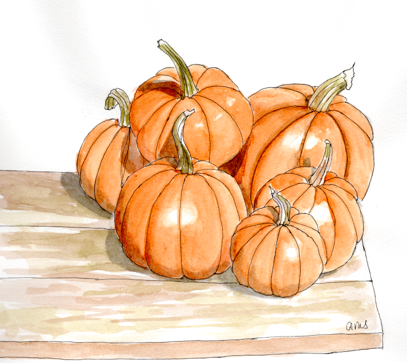20250922Sk10 Pumpkins (WDE).png