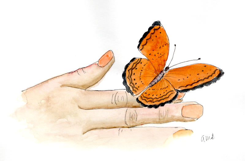 20251021Sk10 Butterfly on Hand (WDE).png