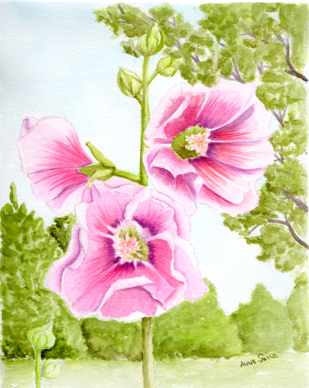 20251108 Hollyhock (PP, 8x10 sheet).png