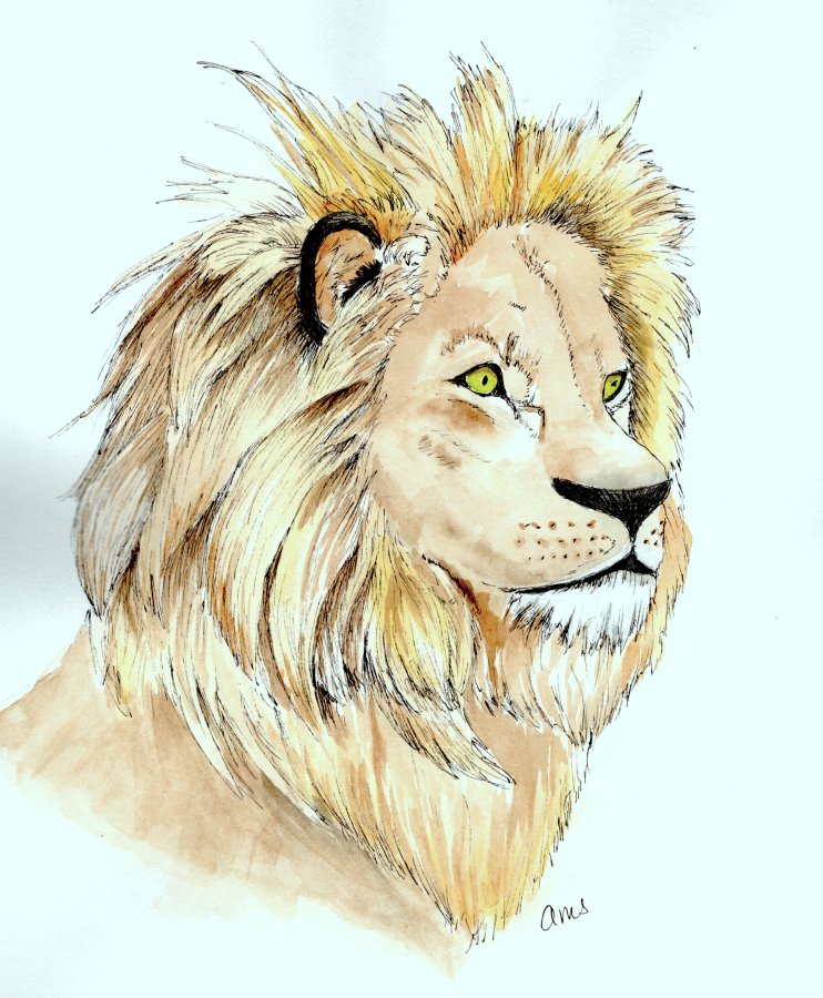 20251116Sk10 Lion (WDE 11-7) - Copy.png