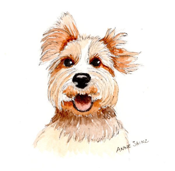 20251120 Shitzu (Card for Helaine).png