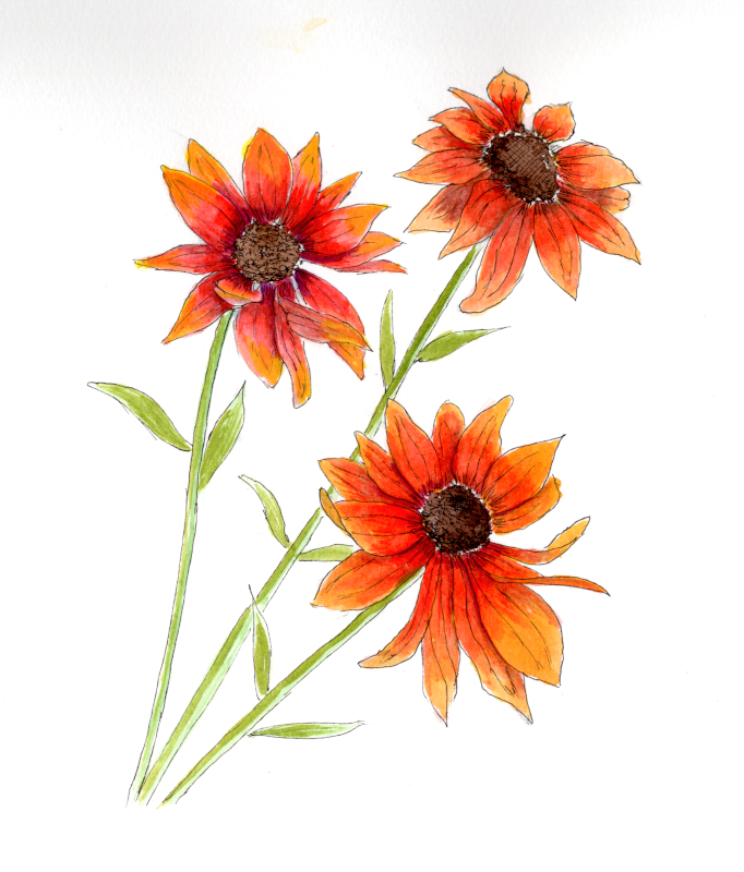 20251129Sk10 Red Flowers (WDE).png