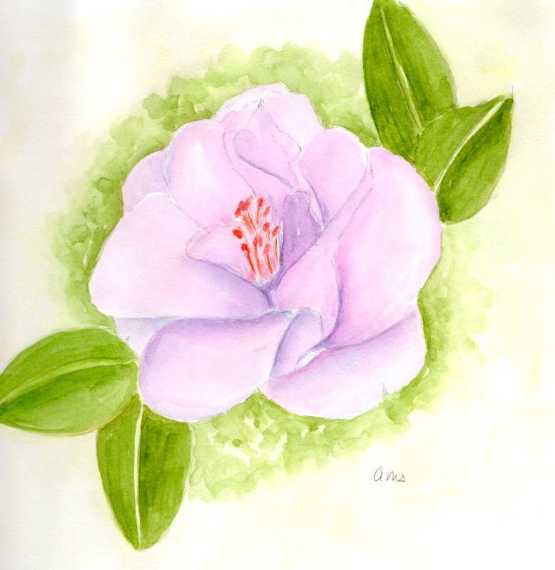 20260227Sk10 Camelia (WDE).png