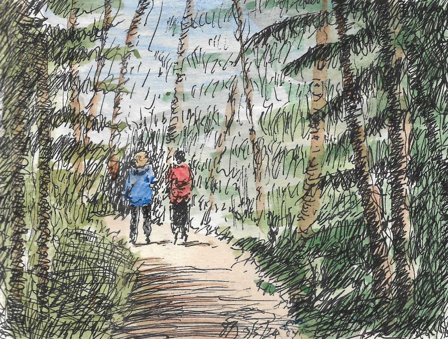 A Quiet Walk.png