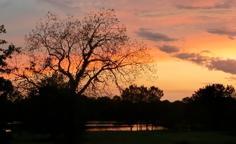 backyard-sunset.jpg