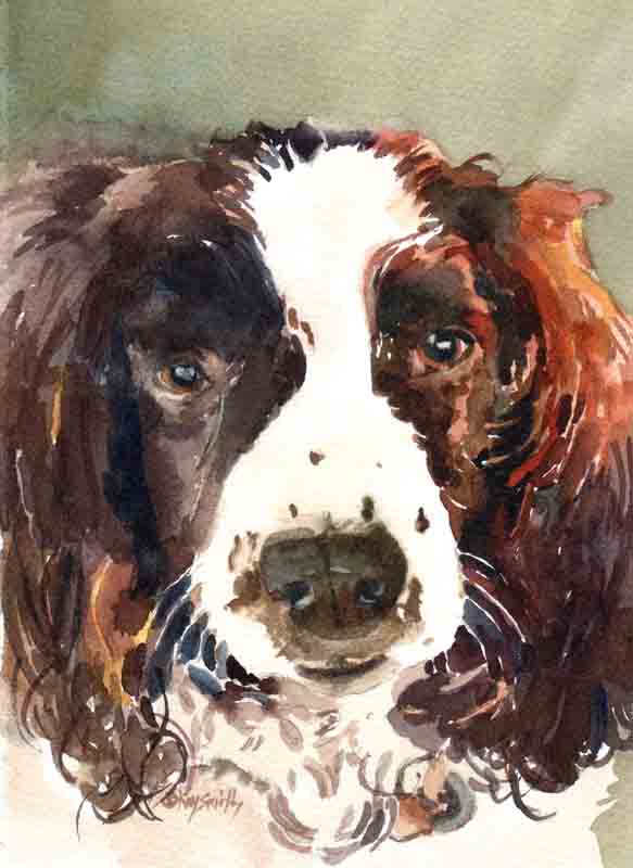 Belles spaniel.jpg