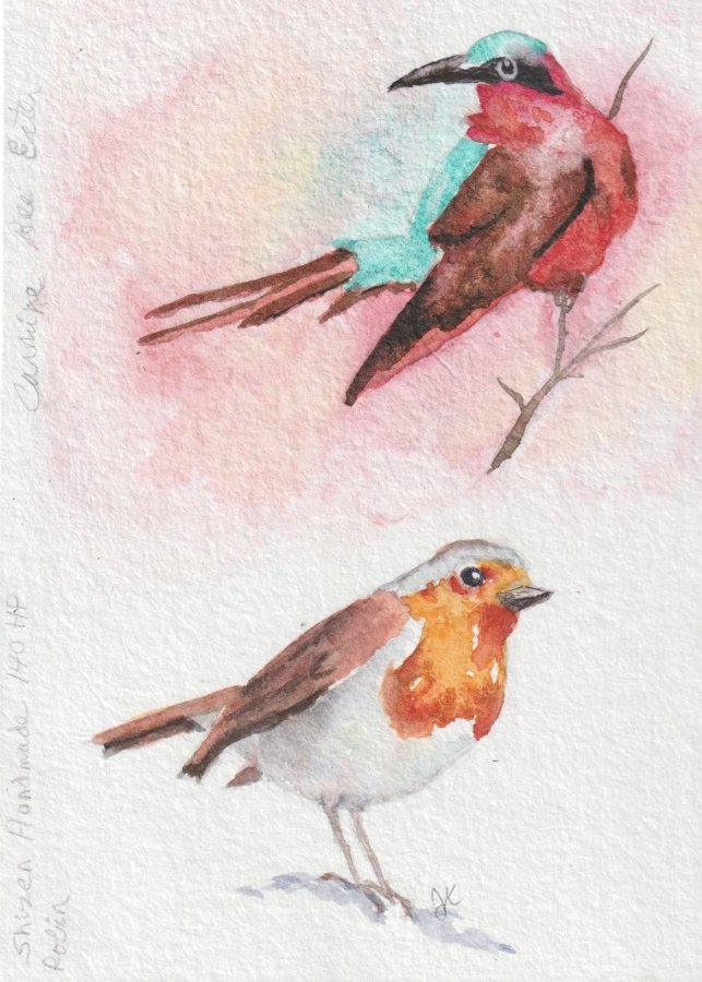 Birds.jpeg