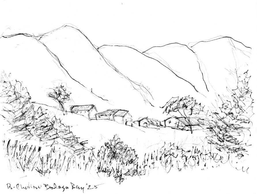Bodega Bay 2025 farm skecth.jpg