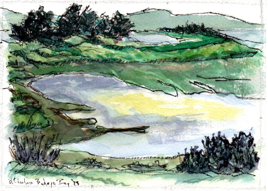 Bodega Bay over Doran Park watercolor & ink.jpg