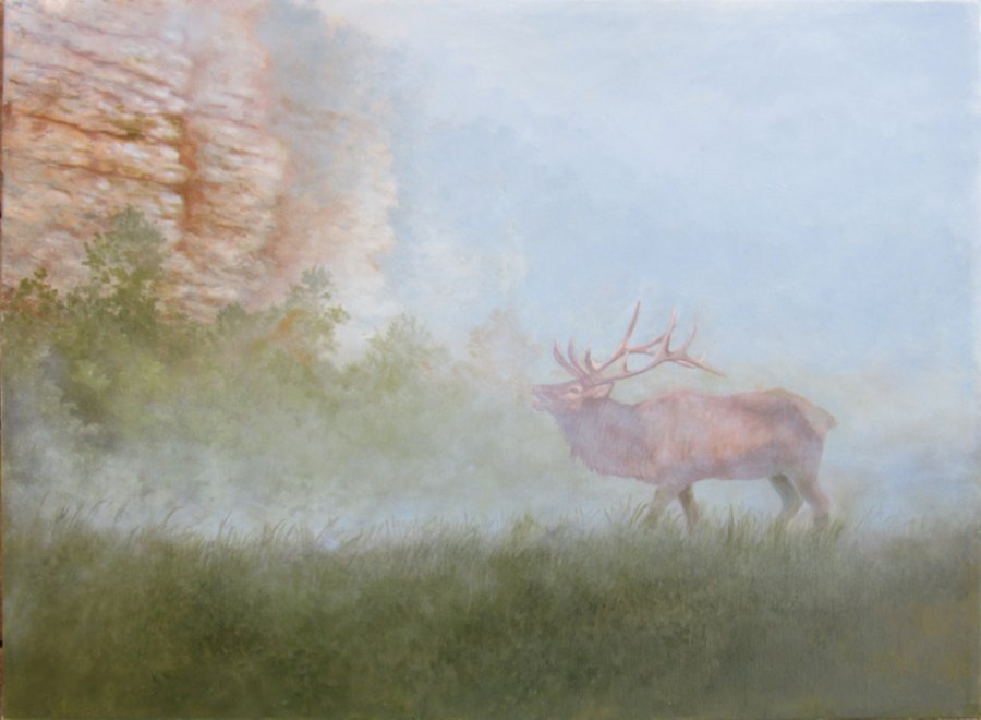 boxley elk.jpg