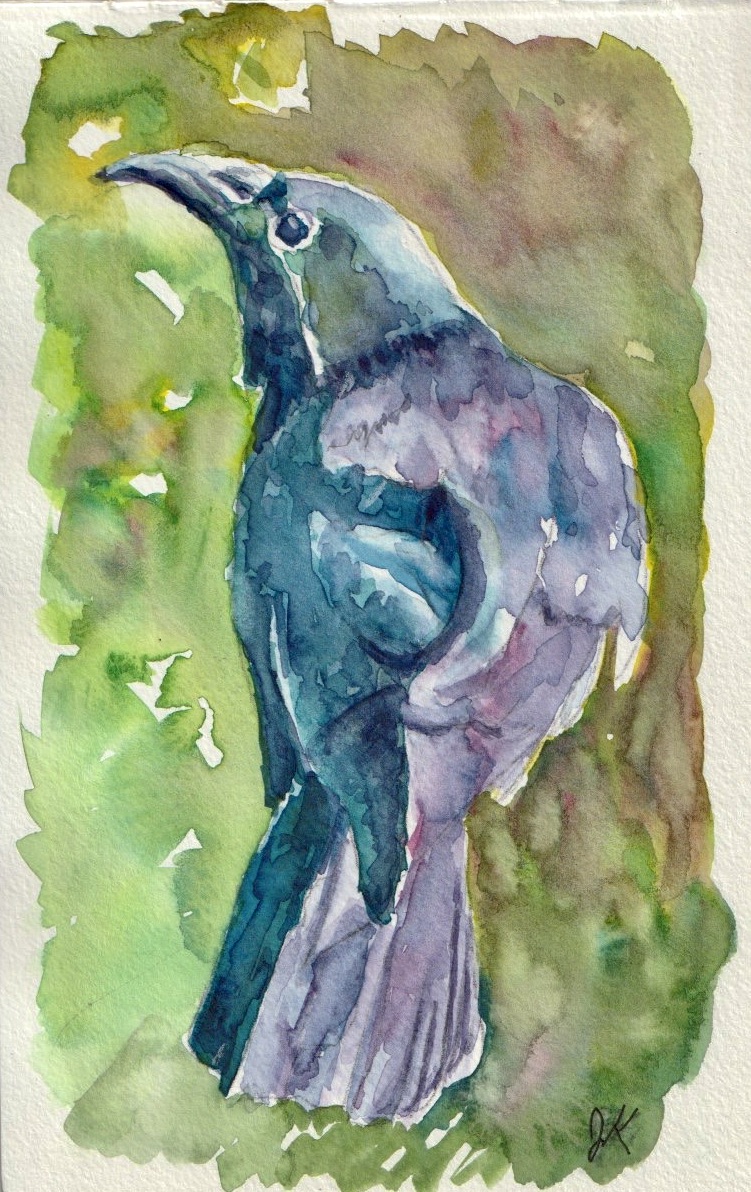 Crow.jpeg