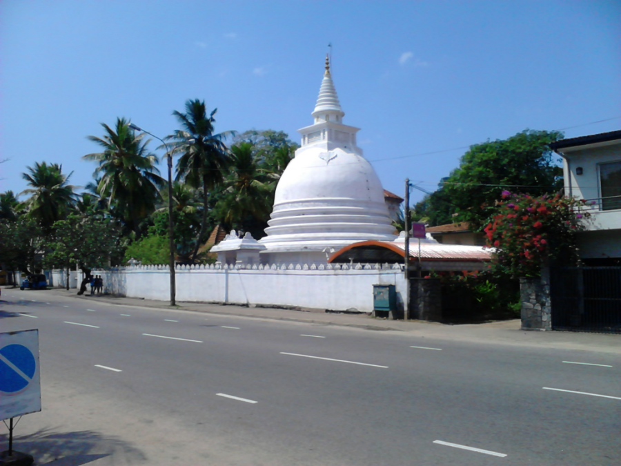 DSC_0103-sm.png