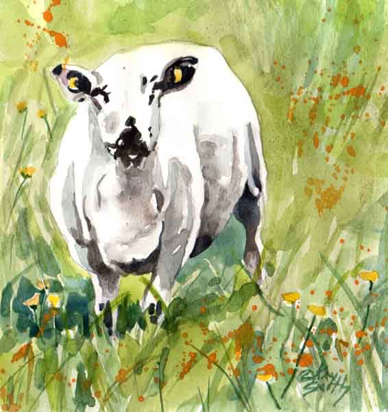 Ewe in Grass.jpg