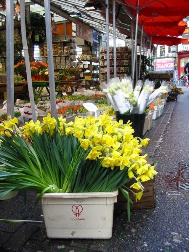 Flower market Amsterdam.jpg