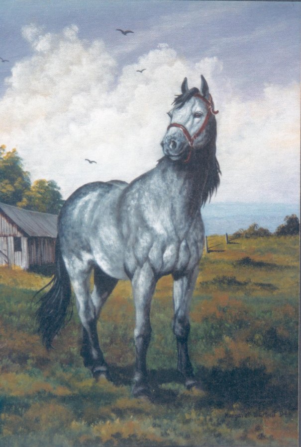 grayhorse.jpg