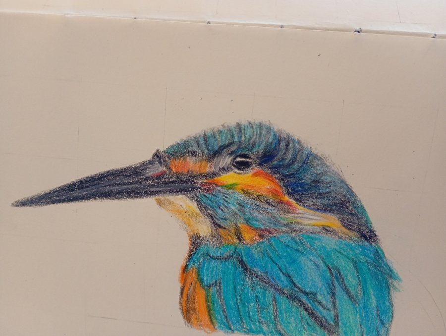 IMG_20250824_092536803_MFNR_1756049176018 (1).jpg