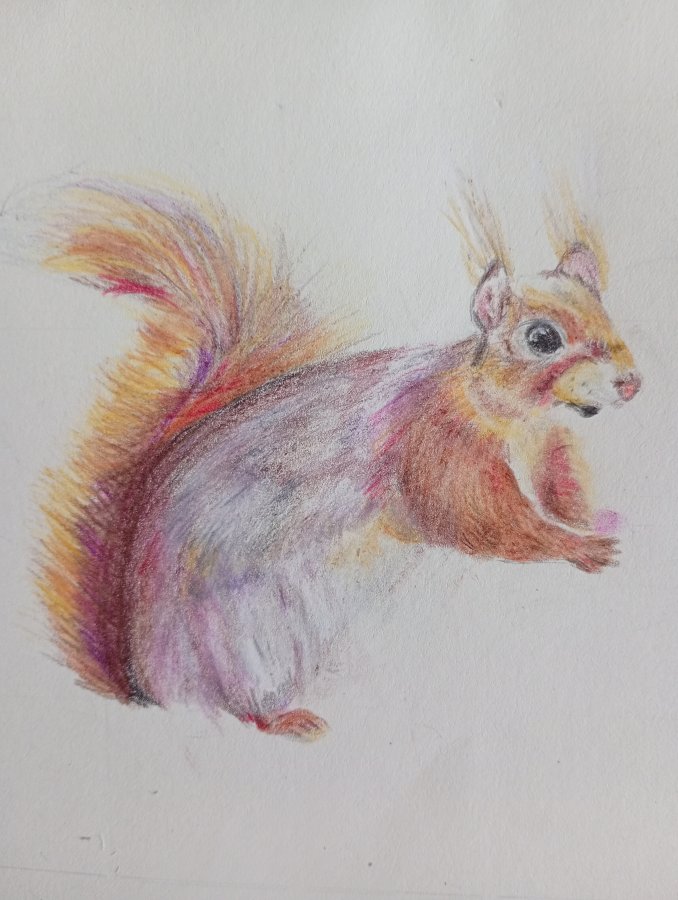 IMG_20250905_105024659_MFNR (1).jpg